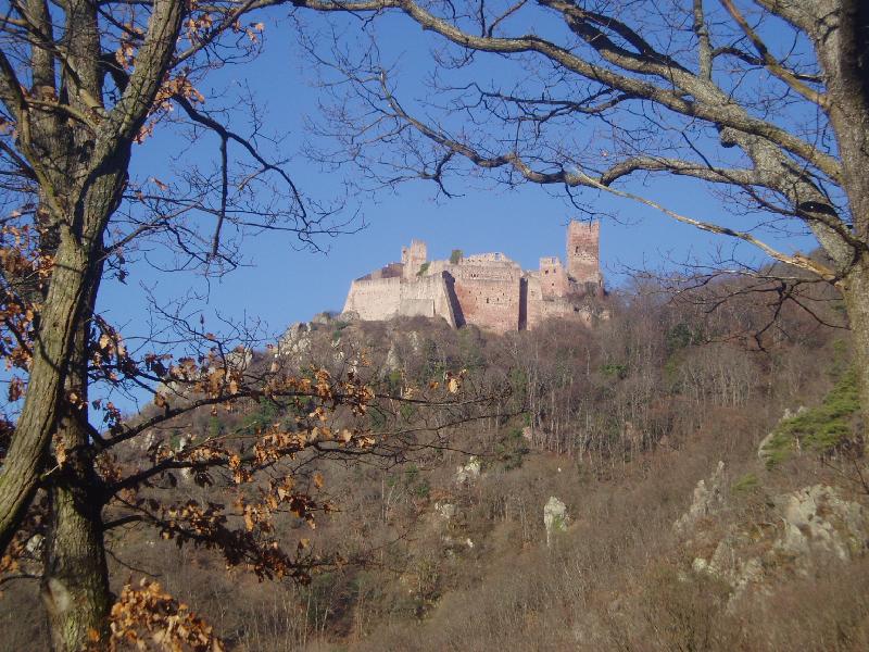 02chateaustulrich.jpg - JMPP 13-01-2008 : le chateau de St Ulrich