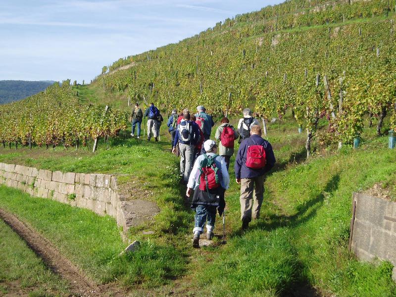 jmpp2006oct01.jpg - Journée marche-prière-partage du dimanche 8 octobre 2006